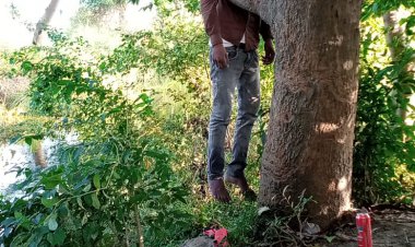 सुल्तानपुर /पेड़ से लटकता मिला युवक का शव