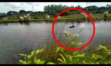 मोहम्मदपुर/ आजमगढ़,पोखरे में मिली लावारिस लास,