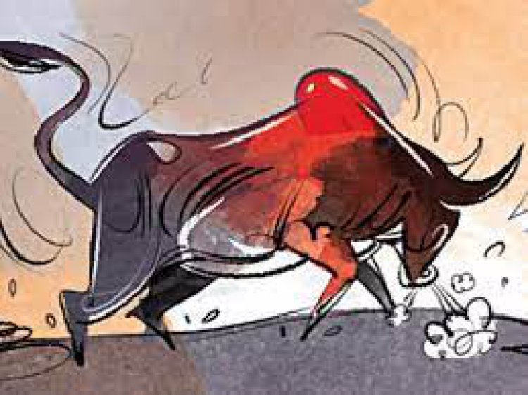 जौनपुर/जलालपुर, छुट्टे सांड के हमले से वृद्ध किसान कि हुई मौत