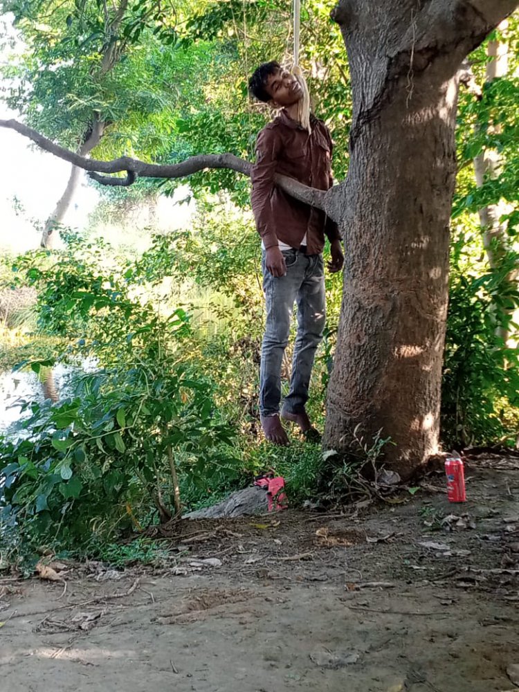 सुल्तानपुर /पेड़ से लटकता मिला युवक का शव