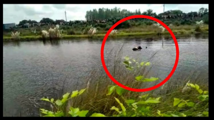 मोहम्मदपुर/ आजमगढ़,पोखरे में मिली लावारिस लास,