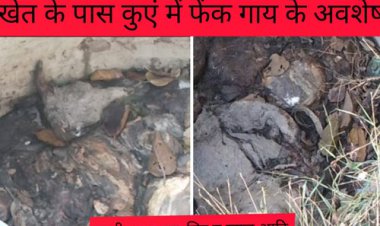 गौकशी थमने का नहीं ले रहा नाम , आखिर पुलिस प्रशासन क्यों नहीं दे रहा ध्यान