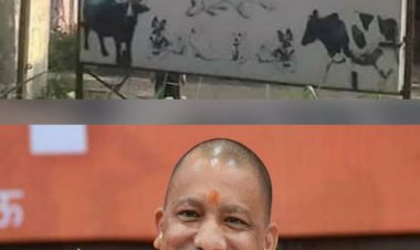 जानवरों के लिए एंबुलेंस सेवा, कॉल सेंटर हो रहा तैयार