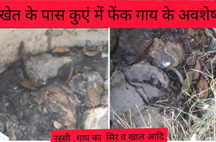 गौकशी थमने का नहीं ले रहा नाम , आखिर पुलिस प्रशासन क्यों नहीं दे रहा ध्यान