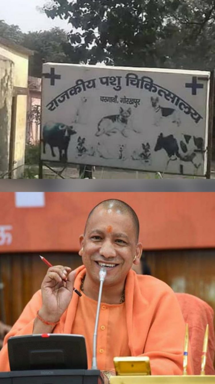 जानवरों के लिए एंबुलेंस सेवा, कॉल सेंटर हो रहा तैयार