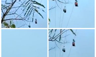 ट्रालियों में फंसे 40 से अधिक लोगों को रेस्क्यू कर बचाई गई जान