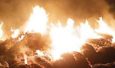 आग लगने से 600 बोझा गेहूं जलकर हुआ राख 