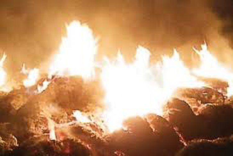आग लगने से 600 बोझा गेहूं जलकर हुआ राख 