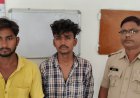 महिला से छेड़खानी करने वाले दो सगे भाई  गिरफ्तार