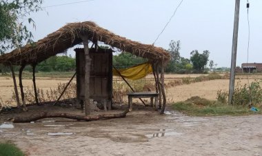भू माफियो का आतंक जारी पैतृक जमीन पर किया अवैध कब्जा
