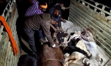 तीन गोतस्करों की एक करोड़ 53 लाख की सम्पत्ति हूवा जप्त