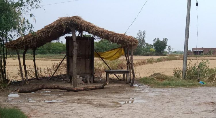 भू माफियो का आतंक जारी पैतृक जमीन पर किया अवैध कब्जा