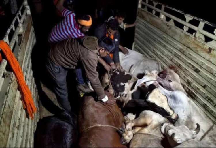 तीन गोतस्करों की एक करोड़ 53 लाख की सम्पत्ति हूवा जप्त