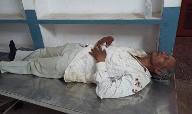 गोलबन्द कर दबंगो ने युवक को जमकर  पीटा