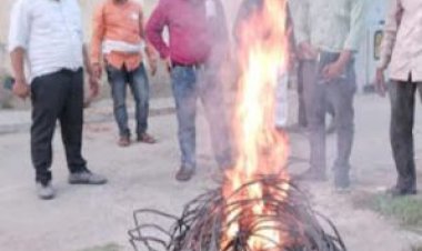 विद्युत विभाग के कर्मचारियों  ने पर्यावरण प्रदूषण में निभाई सहभागिता