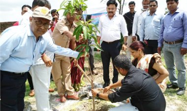 जिलाधिकारी मनीष कुमार वर्मा  ने सुधाकर महाविद्यालय में किया पौधरोपण