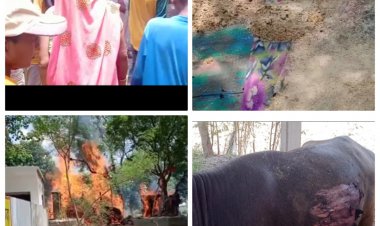 संदिग्ध परिस्थितियों में छप्पर में लगी भीषण आग गृहस्थी का सामान व भैंस जली