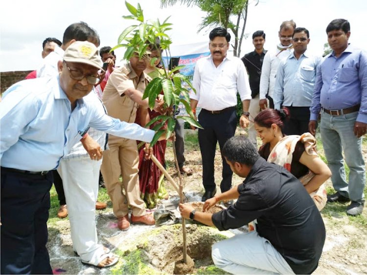 जिलाधिकारी मनीष कुमार वर्मा  ने सुधाकर महाविद्यालय में किया पौधरोपण