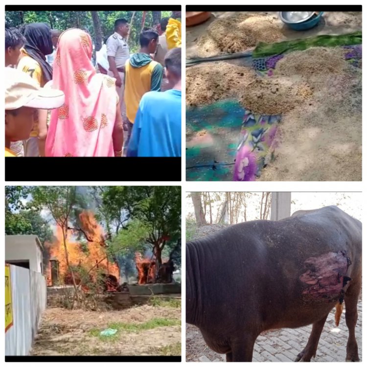 संदिग्ध परिस्थितियों में छप्पर में लगी भीषण आग गृहस्थी का सामान व भैंस जली