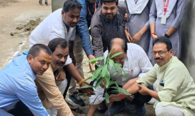 वृक्षों के मानव जीवन की कल्पना कर पाना बड़ा मुश्किल है!