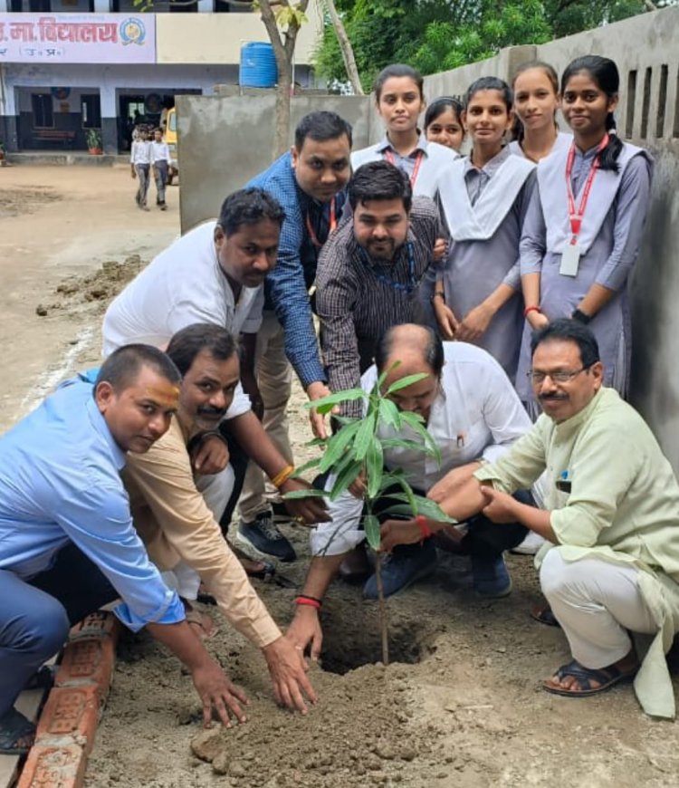 वृक्षों के मानव जीवन की कल्पना कर पाना बड़ा मुश्किल है!