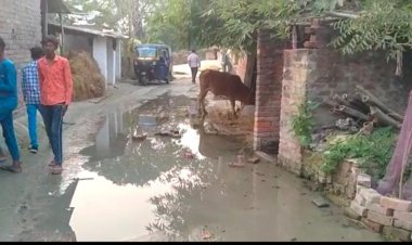 रास्ता बना नाला,गाँव वाले हो रहे है परेशान लगायी सरकार से गुहार