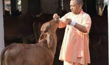 सांसद बृजभूषण शरण सिंह :पशुपालन को बढ़ावा देने से आएगी संपन्नता व खुशहाली