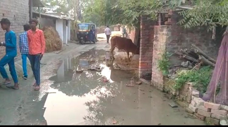 रास्ता बना नाला,गाँव वाले हो रहे है परेशान लगायी सरकार से गुहार