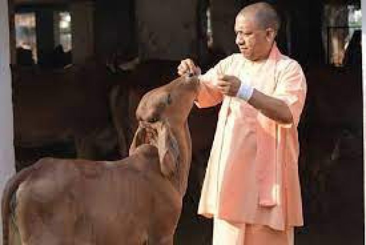 सांसद बृजभूषण शरण सिंह :पशुपालन को बढ़ावा देने से आएगी संपन्नता व खुशहाली