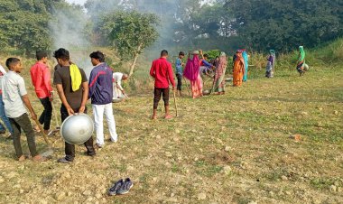गांव वालों को मिला रोजगार, पोखरी सुंदरीकरण