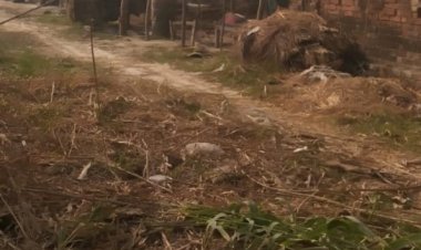 उपजिलाधिकारी और राजस्व अधिकारीयो का सिर दर्द बने अवैध कब्जाधारी