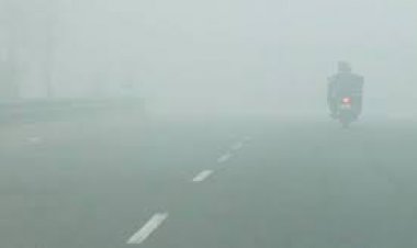 कोहरे का कहर...