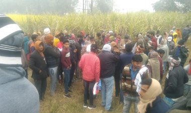 65 भेड़ सहित चरवा की मौत