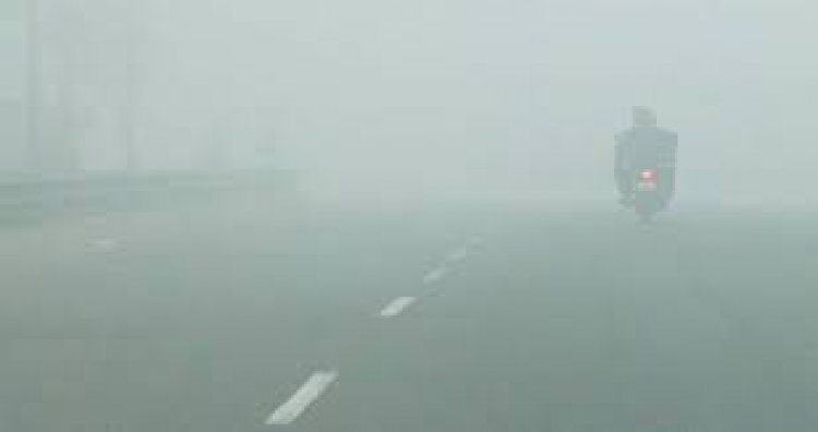 कोहरे का कहर...