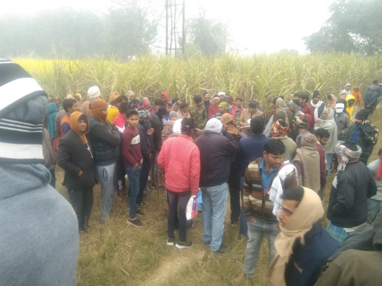 65 भेड़ सहित चरवा की मौत