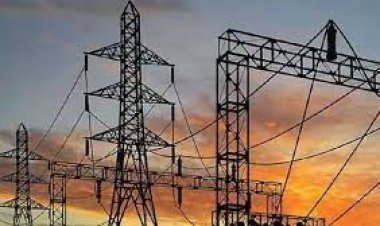 डीएम ने 12 बिजली कर्मचारियों को किया बर्खास्त