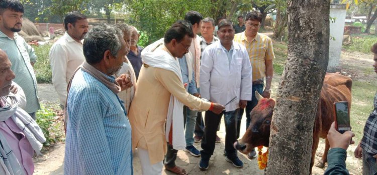 पशु आरोग्य मेले का आयोजन