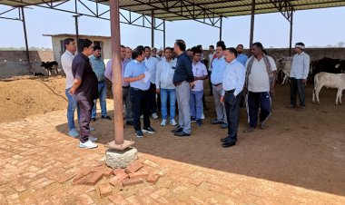 गो-आश्रय स्थल का किया  गया निरीक्षण