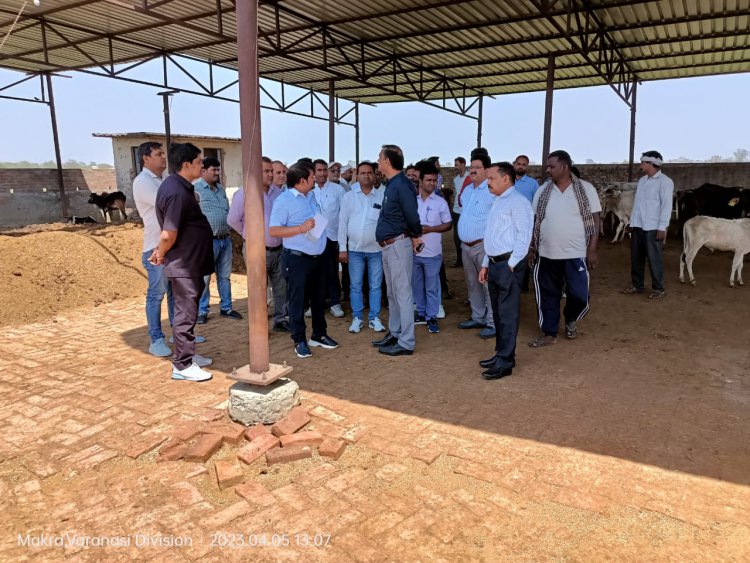 गो-आश्रय स्थल का किया  गया निरीक्षण