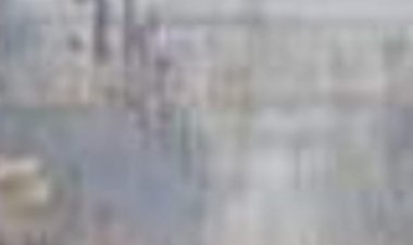 ट्रेन की चपेट में बिठुआ कला रेलवे क्रॉसिंग के समीप अज्ञात युवक की मौत