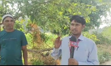 चक मार्ग को खाली करने को लेकर हुई दो पक्षों में मार पीट , कई घायल