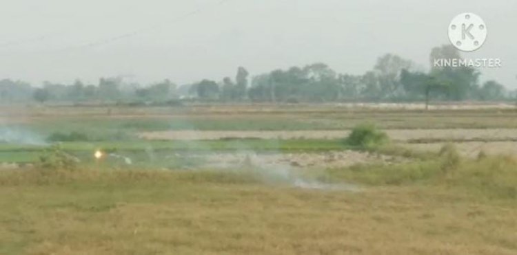 लापरवाह काम चोर जेई और समस्त बिजली विभाग मुस्तफाबाद फीडर व एस डी ओ की कर्महीनता से बचें किसान