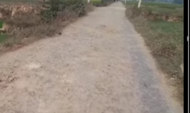 जर्जर सड़क पर चलने पर मजबूर, गांव के लोग...